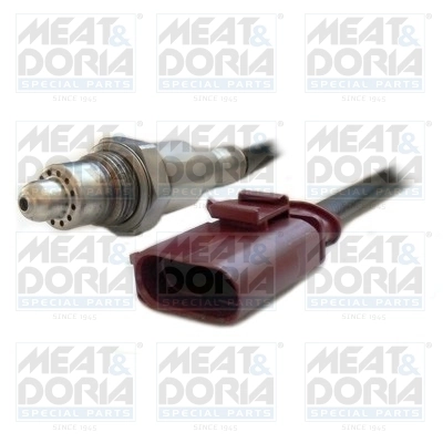 Oxygen Sensor